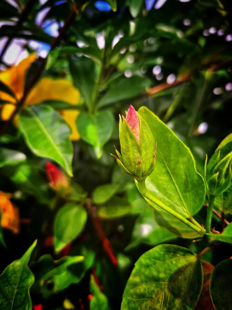 JGWwKwazaqlzQcNb_20250115_113200.webp
