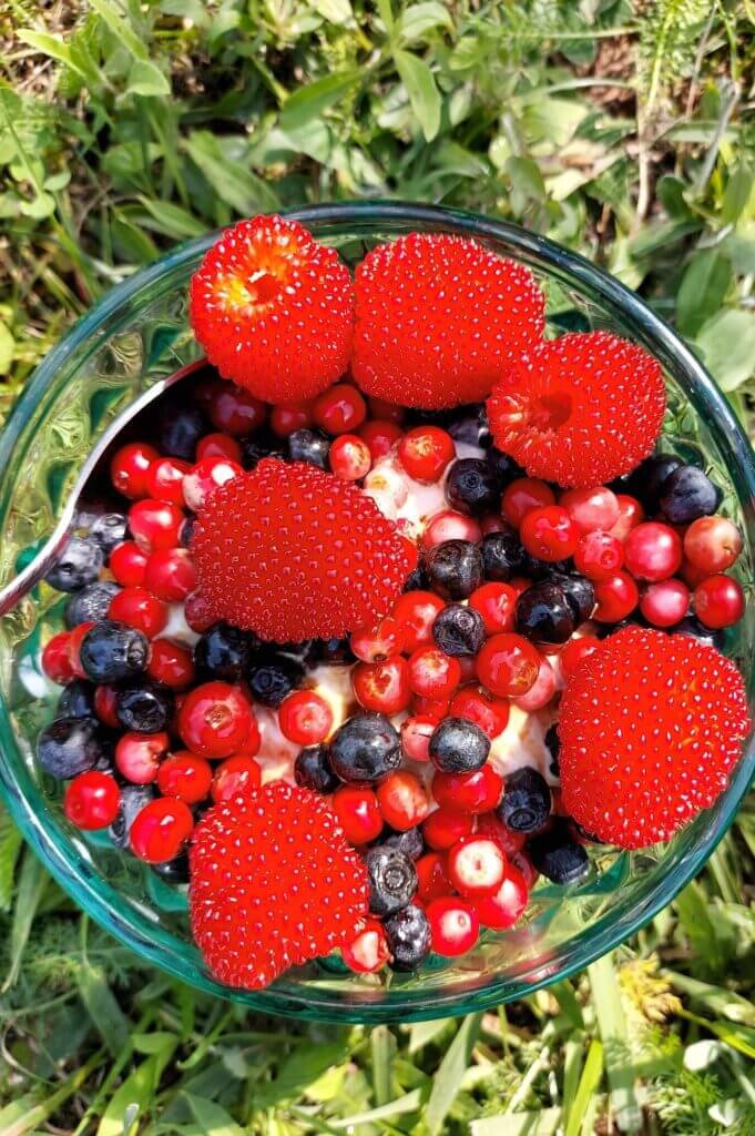 Latvian traditional dessert - Ice Cream with Summer Berries (Saldējums ar vasaras ogām)