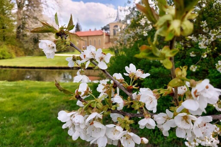 Wörlitzer Park, the Garden Kingdom in Germany