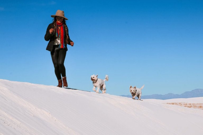 Travel the world with Paula and her 2 dogs