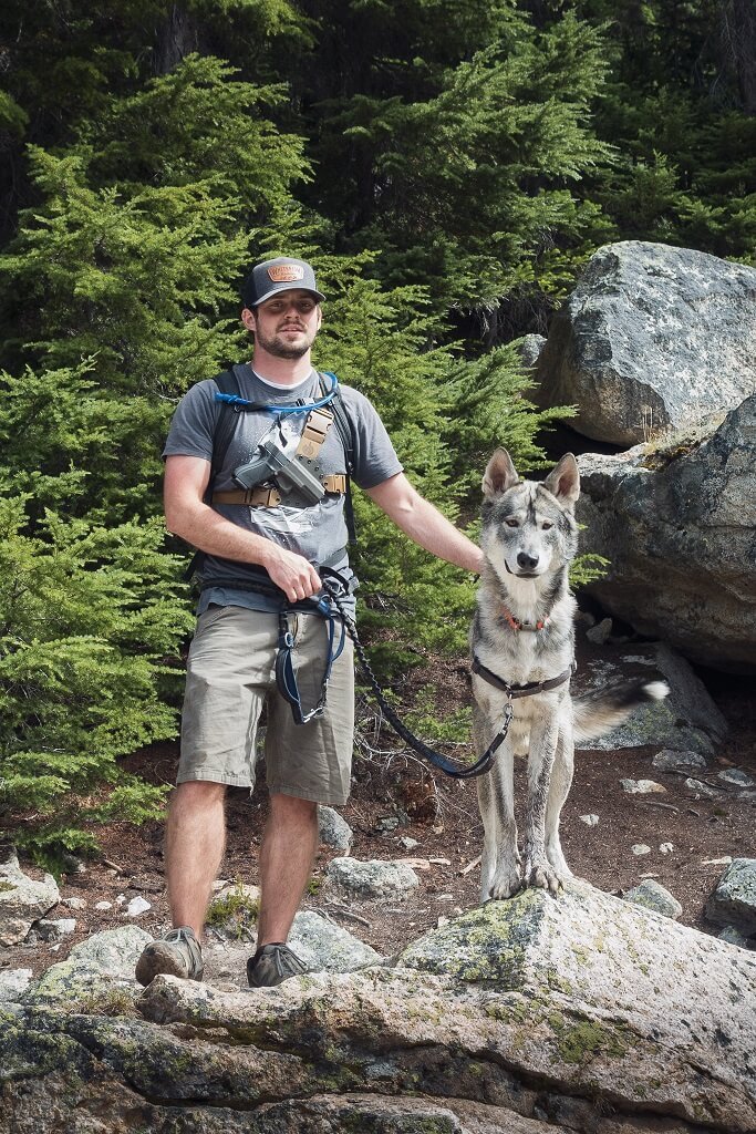 Traveling full-time with 2 dogs and one wolf hybrid