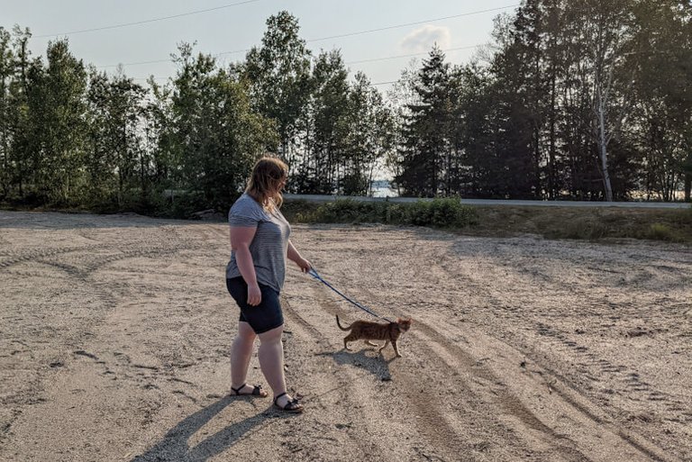 Melissa travels with her cat Tiggy