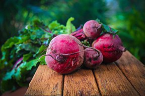 Beetroots source of nitrates