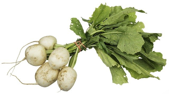 Turnip Greens