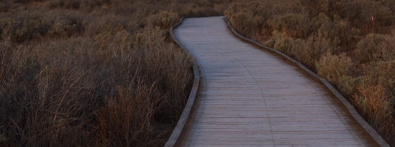 Mungo National Park walkway to The Walls of China