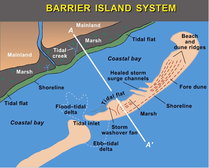 Barrier Island System