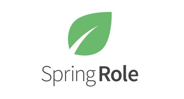 Image result for springrole