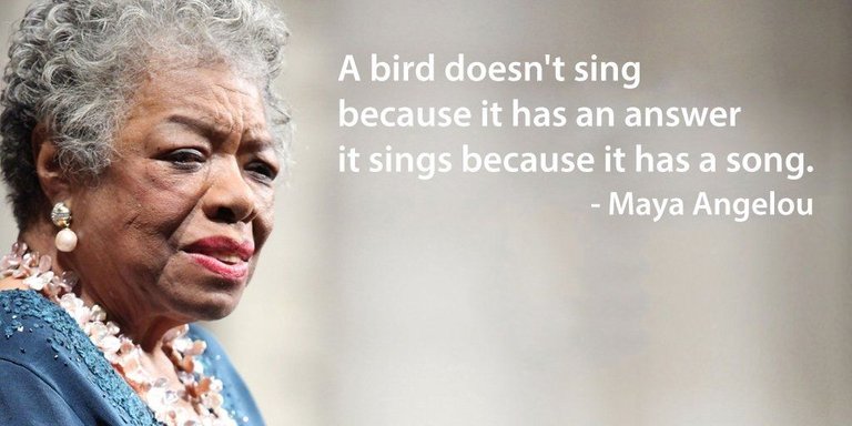 A bird doesnt sing because it has an answer it sings because it has a song. - Maya Angelou
