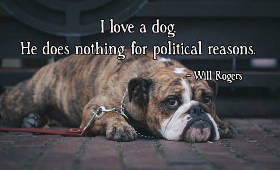 I love a dog. He does nothing for political reasons.—Will Rogers