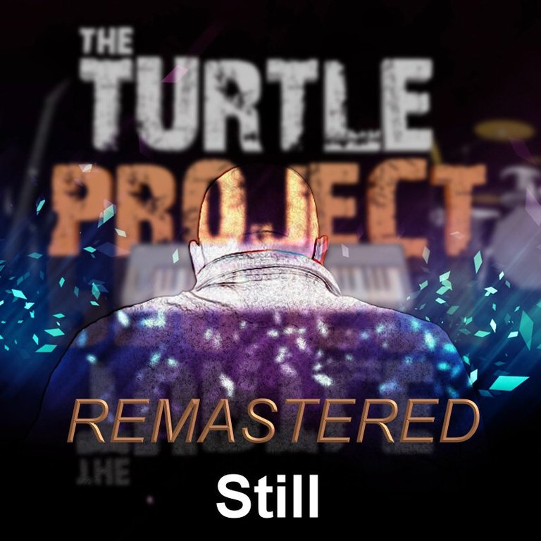 Still by The Turtle Project