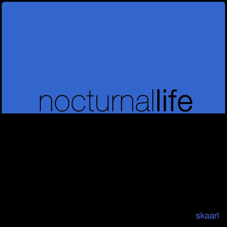 Nocturnal Life by Skaarl