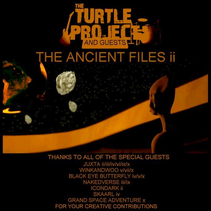 The Twelfth File by The Turtle Project