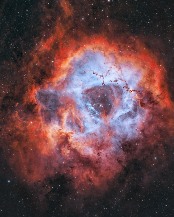 The Rosette Nebula