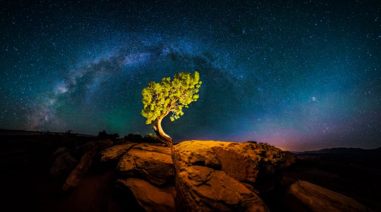 Milky Way Tree