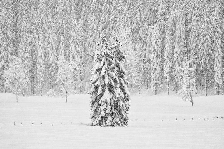 Snow at the Farchtensee