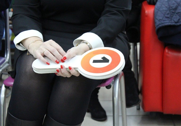 Calf to chest shot of a woman holding auction bidding paddles.