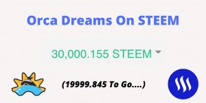 steem orca