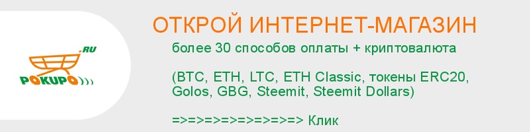 Торговая платформа Pokupo.ru