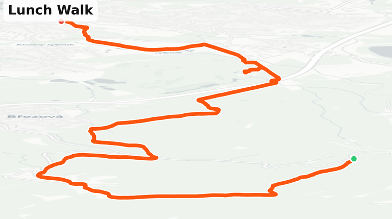 MAPS.PNG