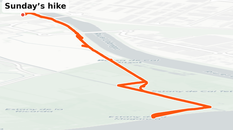MAPS.PNG