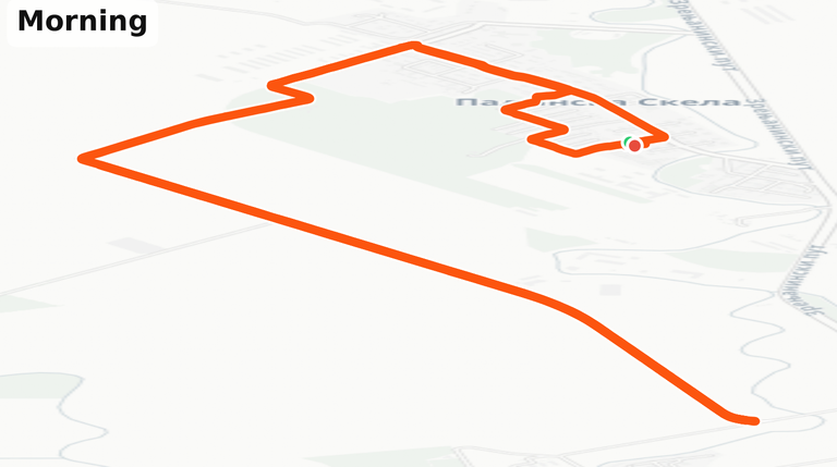 MAPS.PNG