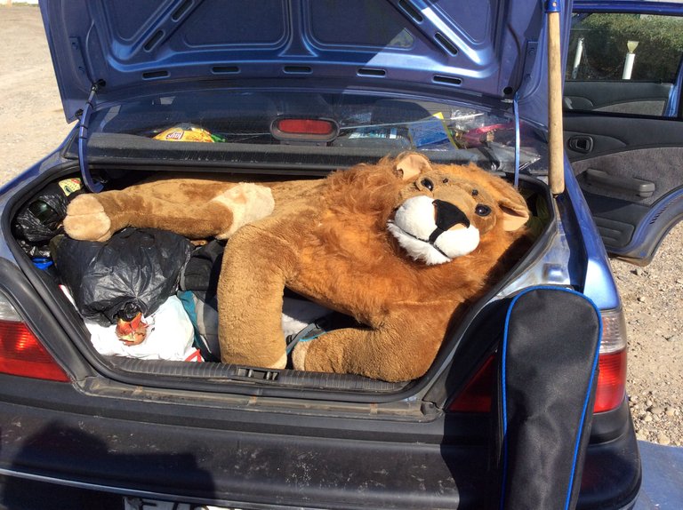 Its a lion! >:3 Everyone quick, get into the car!