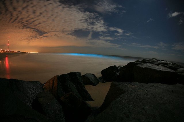 BIOLUMINESCENT_RED_TIDE