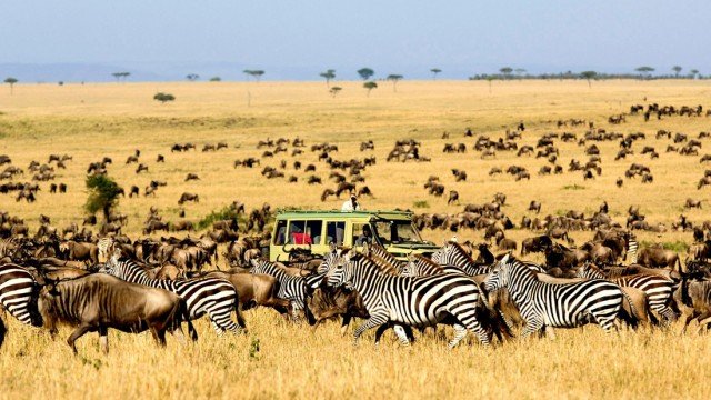 Kluchit_Serengeti_National_Park_Featured_Image