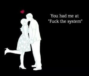 you had me at fuck the system