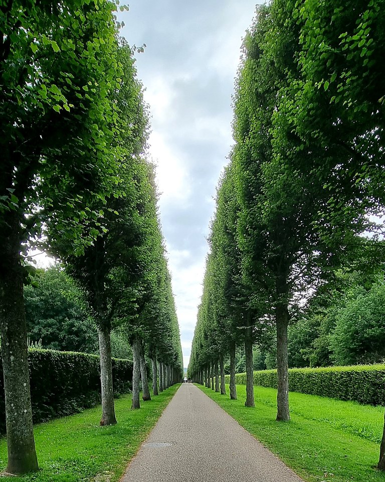 Tree-lined avenue leading away from Fredensborg Palace