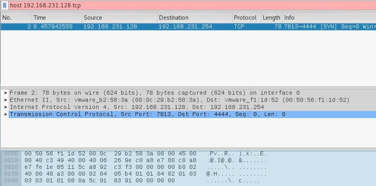 que-com-ctp-necromancer-wireshark