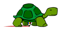 turtle