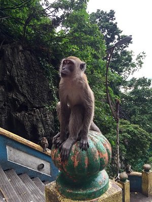 BatuCaves