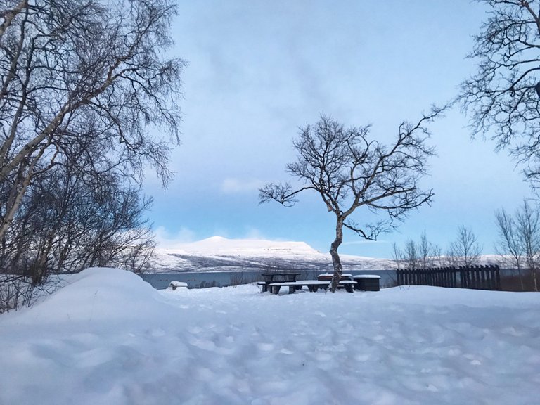 reise-ans-nordkapp-und-zurück-rebeccaontheroof-pickninck