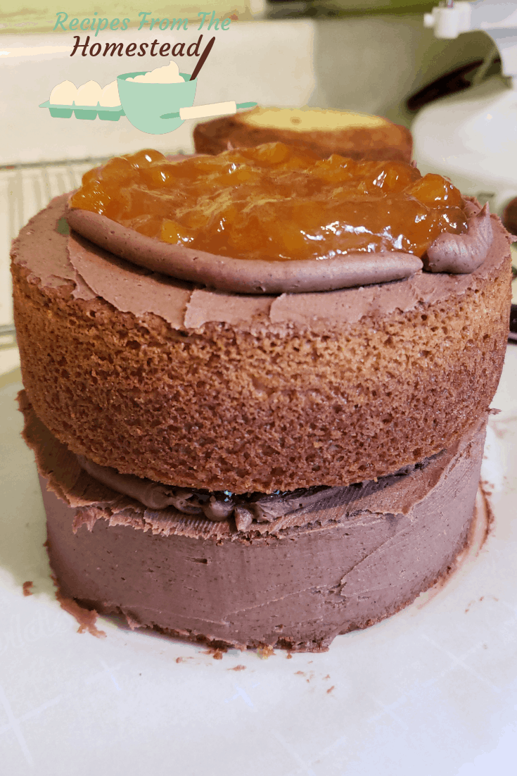 ginger chocolate peach cake