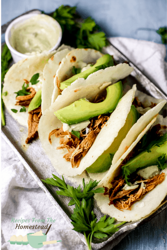 bbq pulled chicken tacos on baking sheet