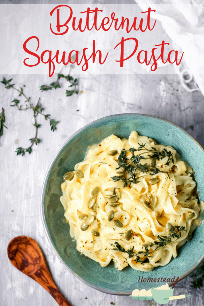 pasta with roasted butternut squash sauce