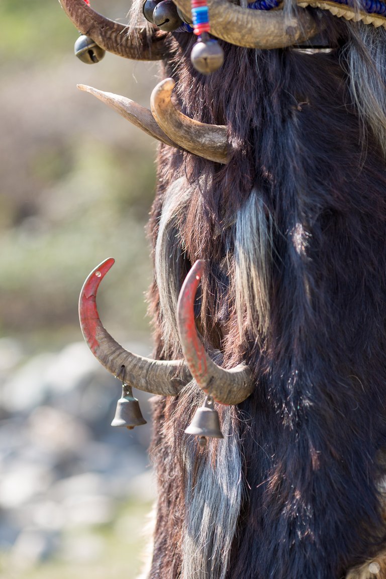 Close-up on one of the masks, laying on the ground