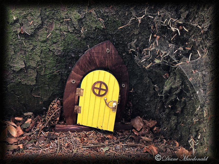 A fairy door