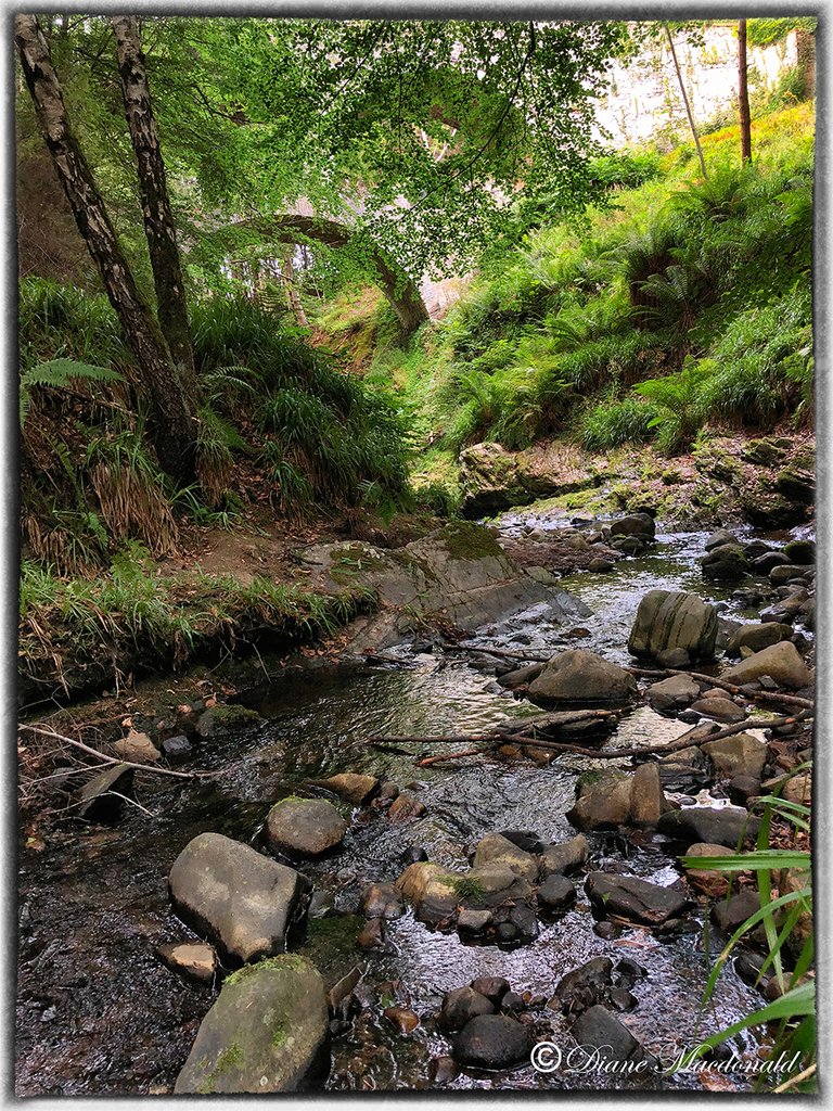 The Letterfurie Burn looking towards the bridge