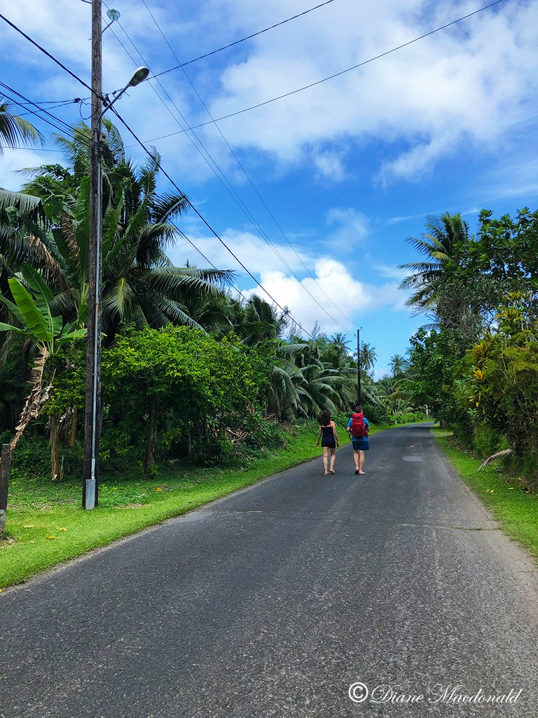 Fellow travelers on the road to Parea, Huahine