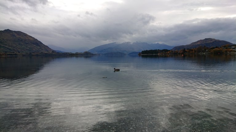 Waterside at Lake Wanaka