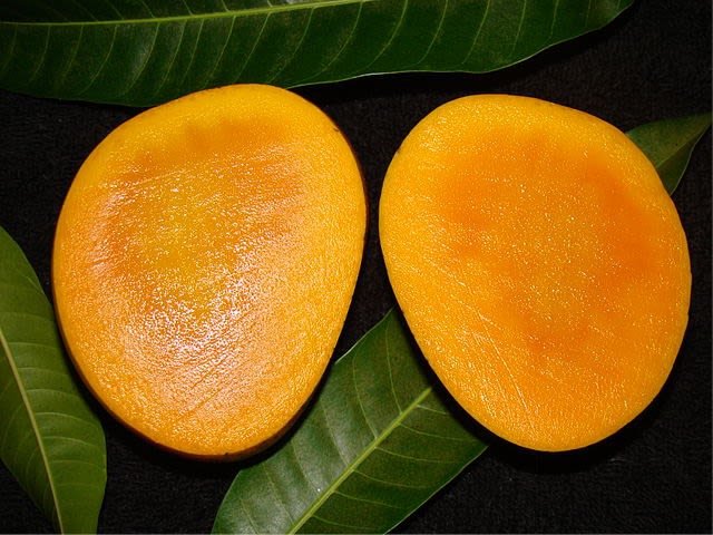 pared He aprendido Parpadeo Componentes químicos del mango y beneficios para la salud por su consumo. —  Hive