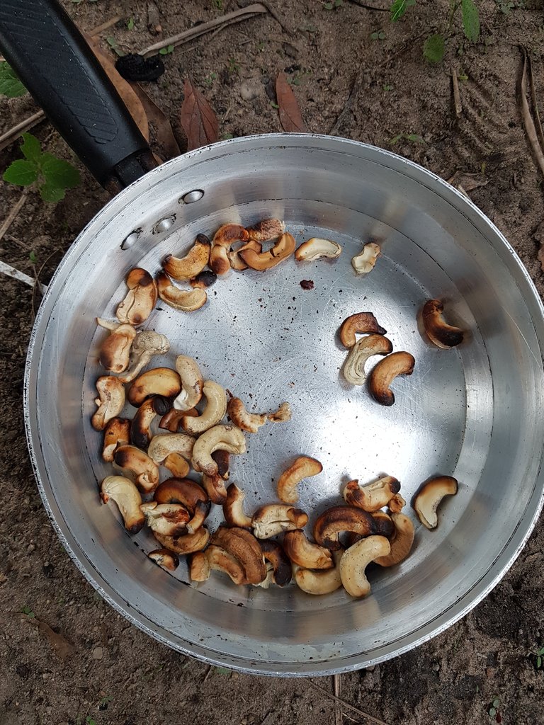 Cashew after cashew we started to fill up this pot. It's a very time-consuming activity and I wonder how this is done in the industry, but it gets obvious, why the nuts are relatively expansive.