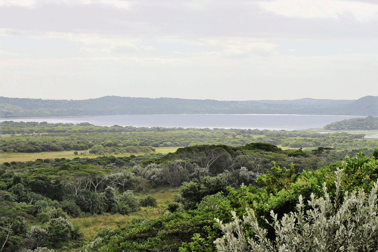 Mfabeni View Point