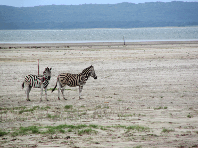 Western Shores iSimangaliso 2016 Droughts