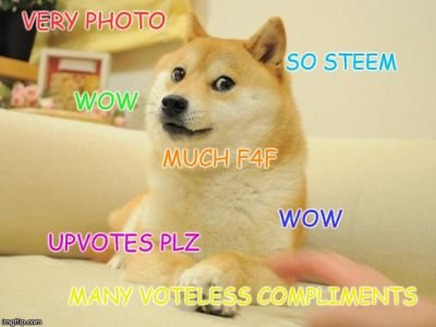 steemdoge.jpg