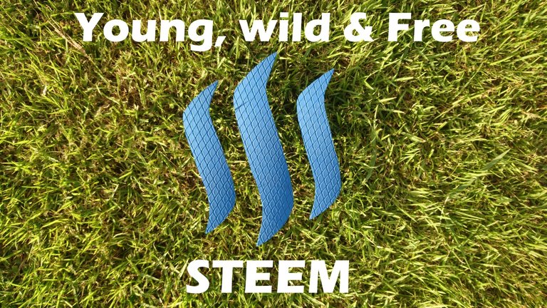 steem young wild free.jpg