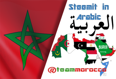 teammorocco congrats arabic.png