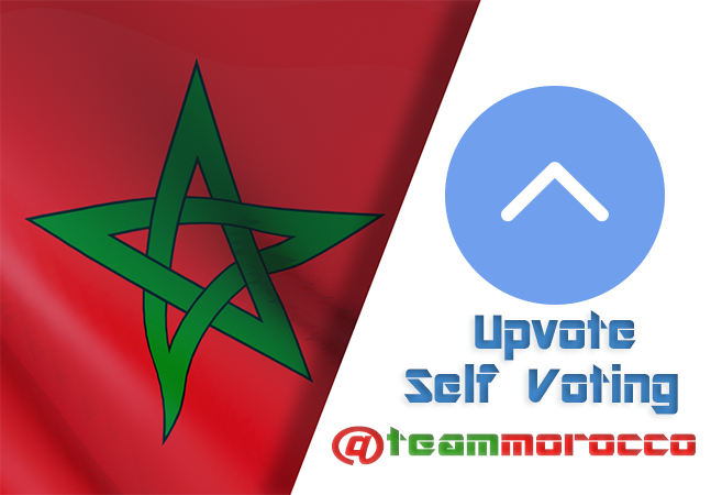 teammorocco upvote and self upvoting.png